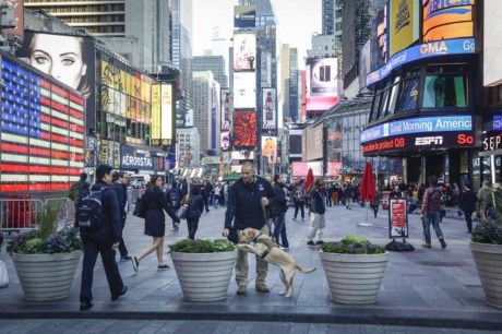 В ФРГ и США усилены меры безопасности в конце нового года